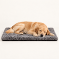 Thermal Reflection Dog Bed